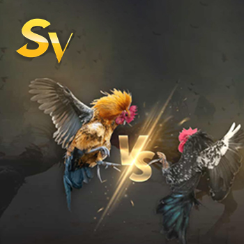 SV Cockfight